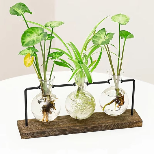 Hydroponic Plant Decor for Desk - Vintage 3 Transparent Glass Vases on Wooden Stand, User-Friendly for Home & Office